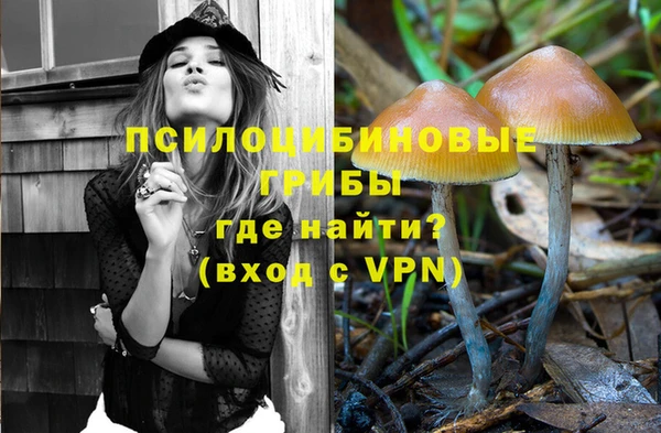 тгк Арсеньев