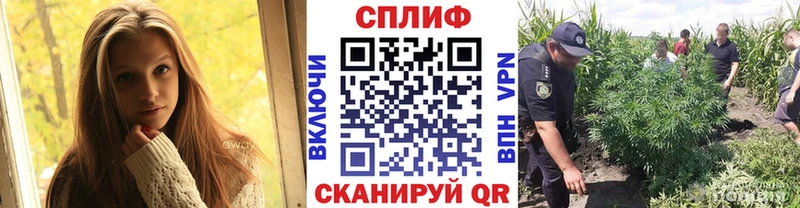 Канабис SATIVA & INDICA Можга