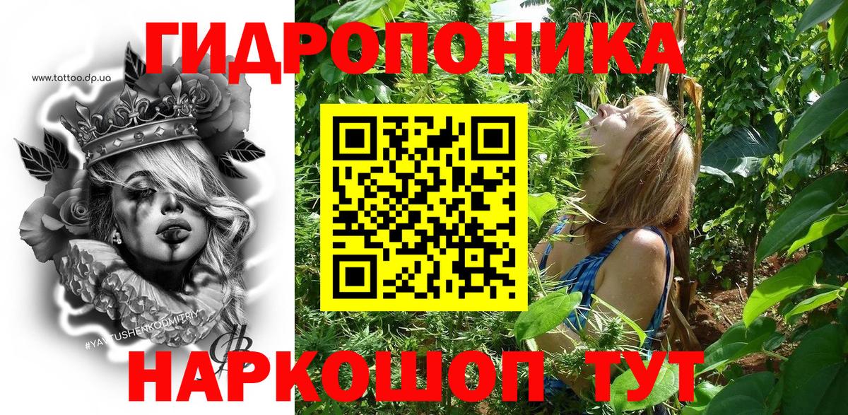 Марихуана Amnesia Можга